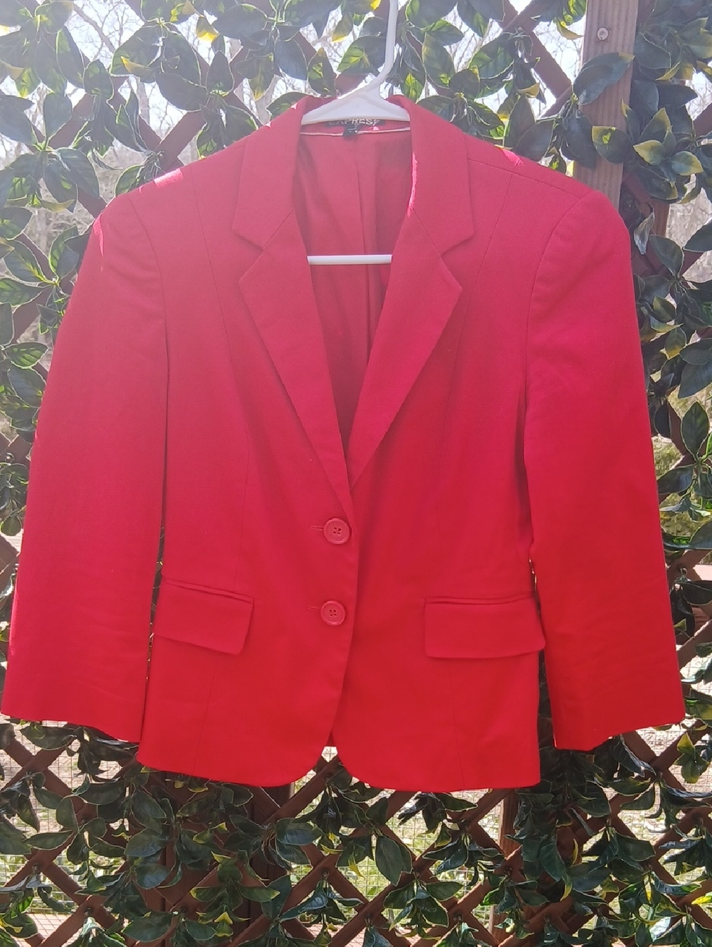 Express Women's Red Two-Button Blazer